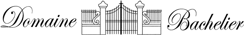 Logo - Domaine Bachelier Vins de Chablis
